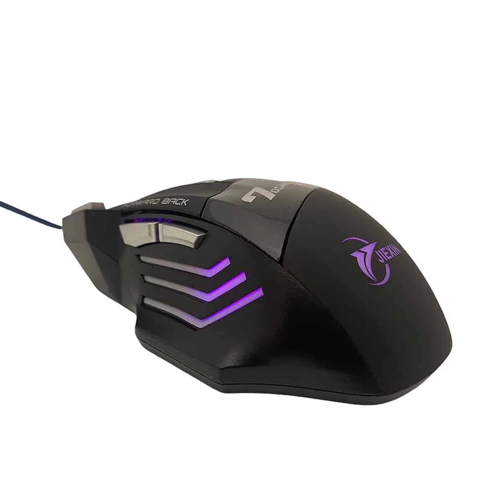 Miniatyr 1
